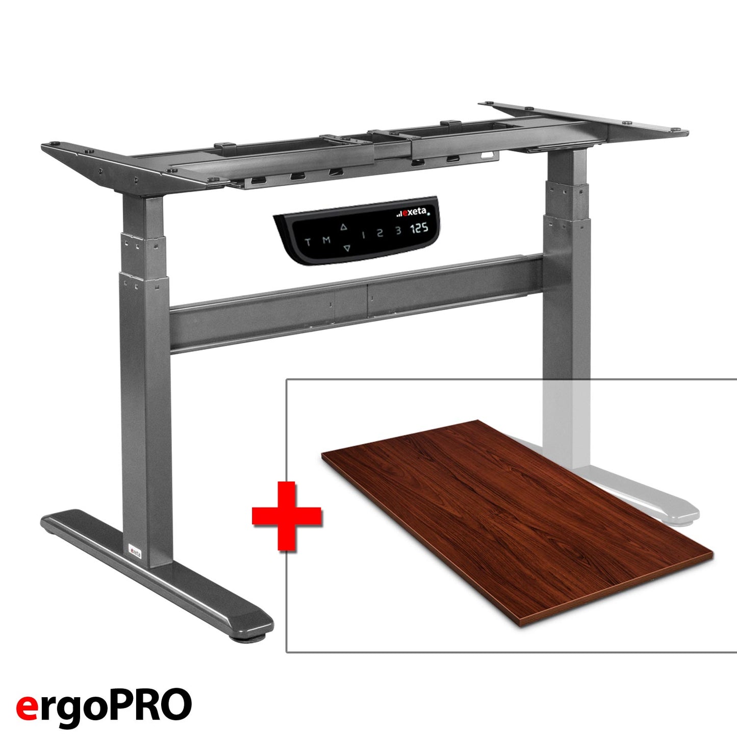 Sparbundle exeta ergoPRO grau + Tischplatte Nussbaum 180cm