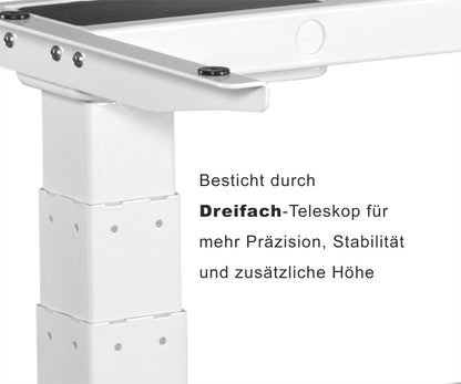 Spar-Bundle ergoSMARTPLUS weiss + Tischplatte nussbaum 120x75x2,5cm