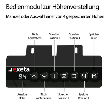 Spar-Bundle ergoEASY schwarz + Tischplatte nussbaum 180x75x2,5cm